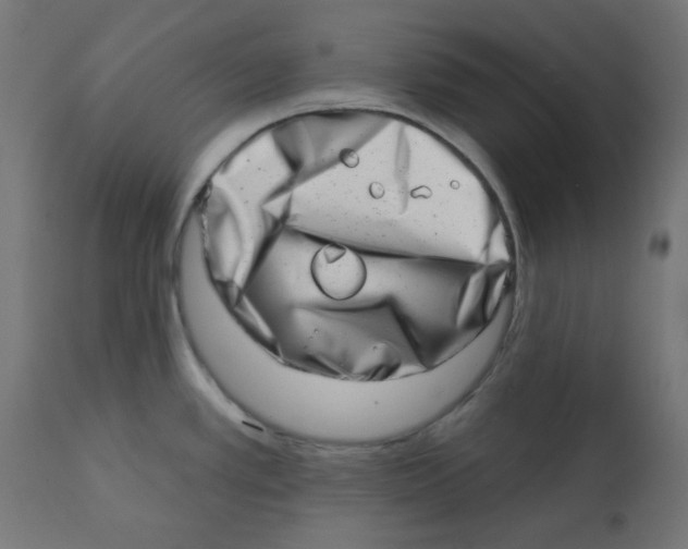 X0000113201389200910081241