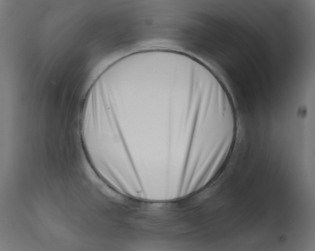 X0000113201390200910081241