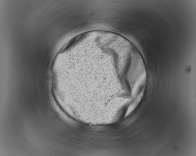 X0000113201391200910081241