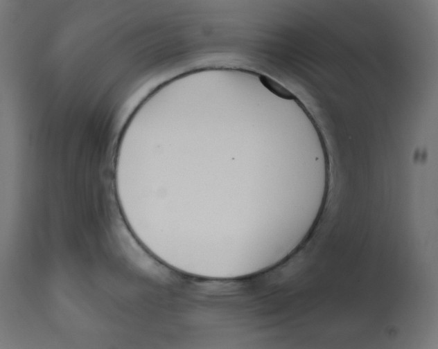 X0000113201392200910081241