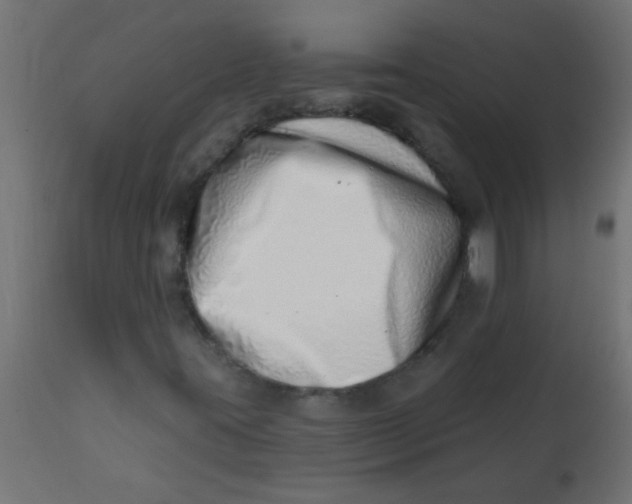 X0000113201395200910081240