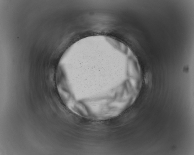 X0000113201396200910081240