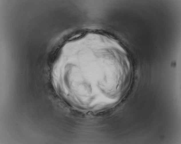 X0000113201398200910081240