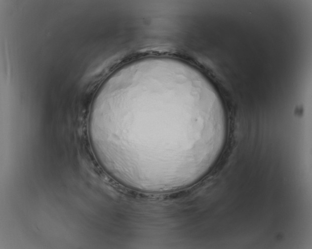 X0000113201399200910081240