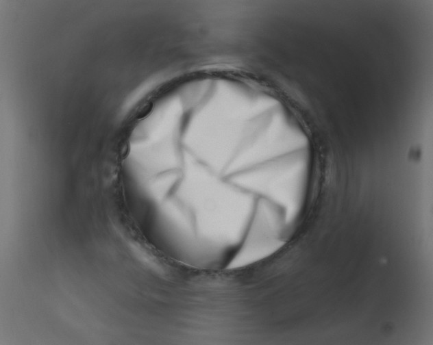 X0000113201400200910081240