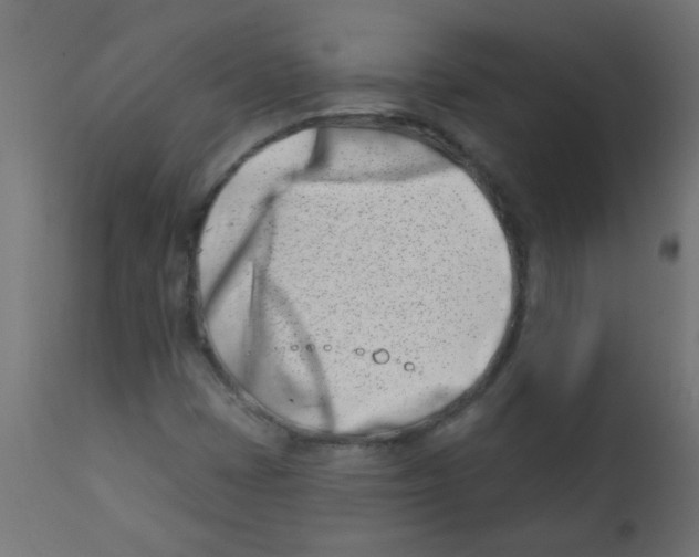 X0000113201401200910081240