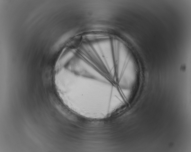 X0000113201403200910081240