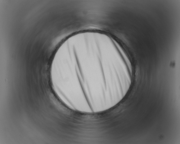 X0000113201404200910081240