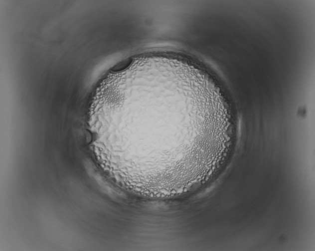 X0000113201405200910081240