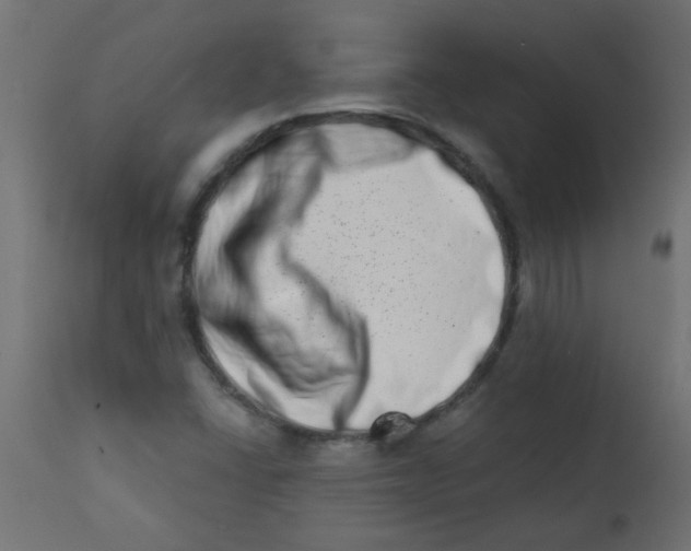 X0000113201406200910081240