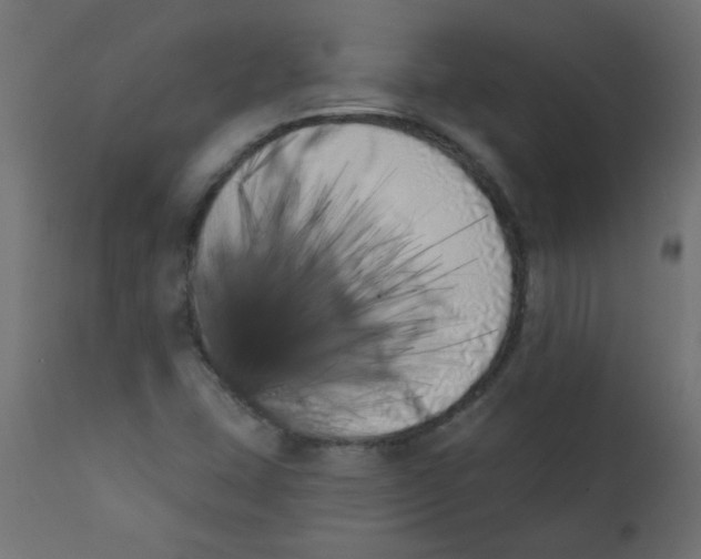 X0000113201407200910081240