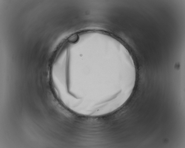 X0000113201408200910081240