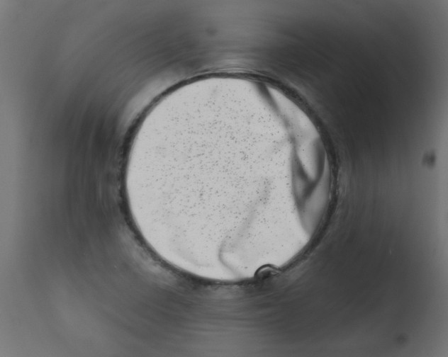 X0000113201410200910081240