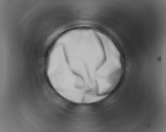 X0000113201411200910081240