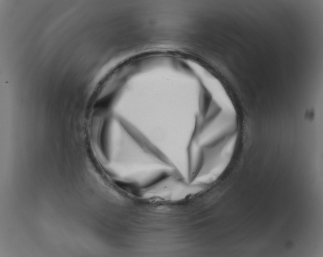 X0000113201412200910081240