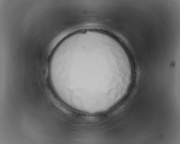 X0000113201413200910081240