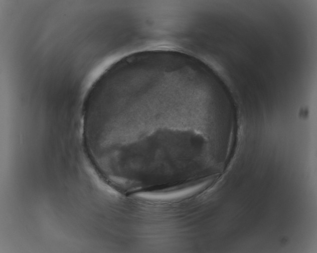 X0000113201414200910081240