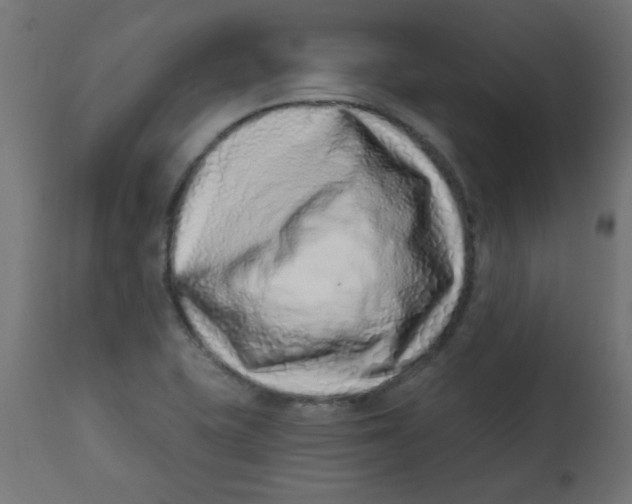 X0000113201415200910081240