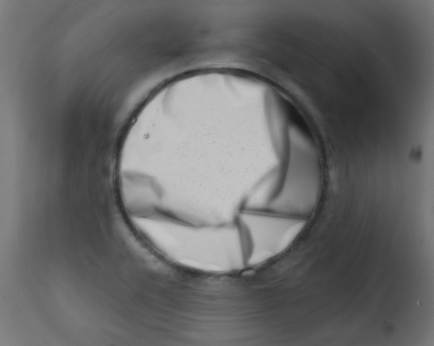 X0000113201416200910081240