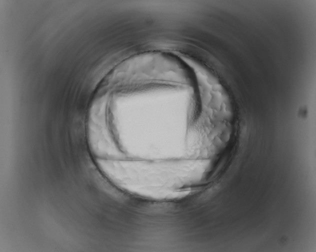 X0000113201417200910081240