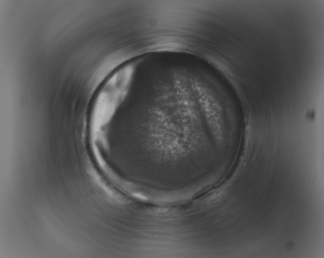 X0000113201418200910081240