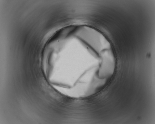 X0000113201419200910081240