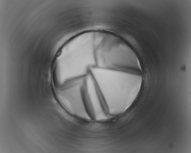 X0000113201420200910081240