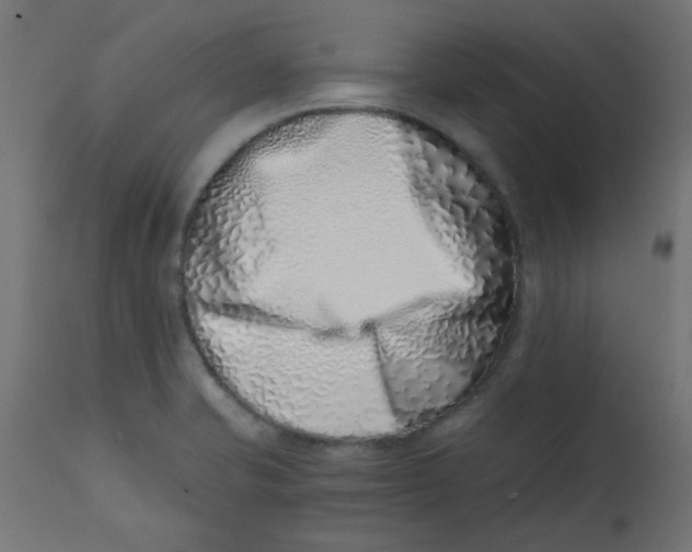 X0000113201421200910081240