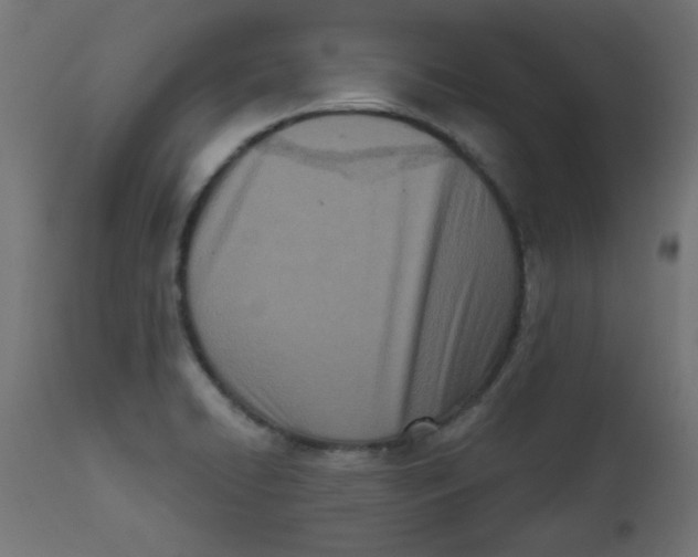 X0000113201422200910081240