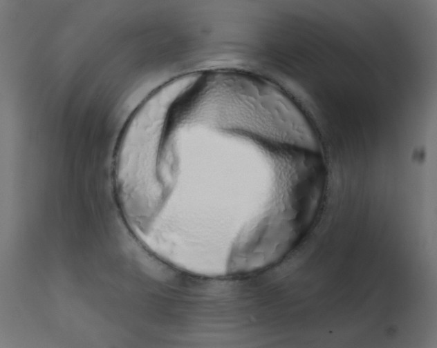 X0000113201423200910081240