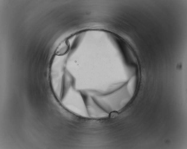 X0000113201424200910081240