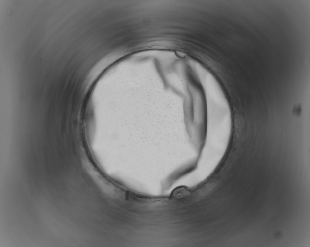 X0000113201426200910081240