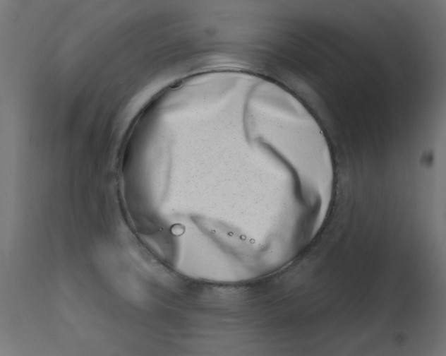 X0000113201427200910081240