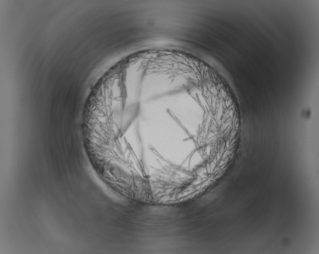 X0000113201429200910081240