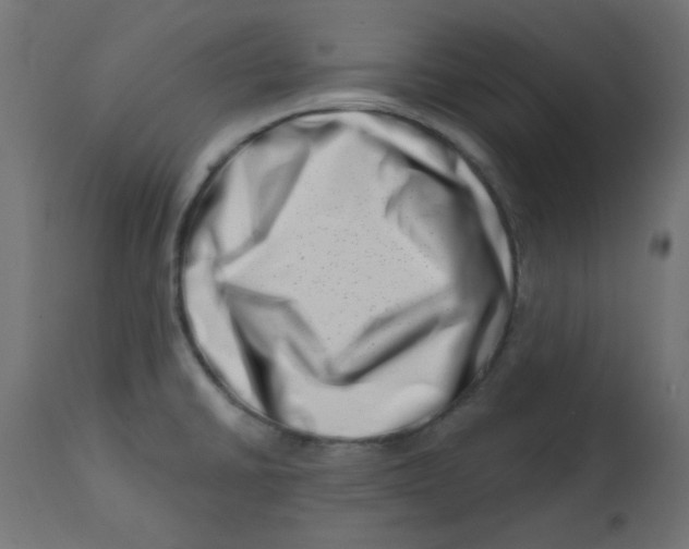 X0000113201430200910081240