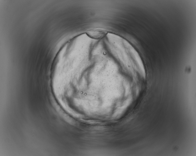 X0000113201431200910081240