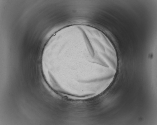 X0000113201432200910081240