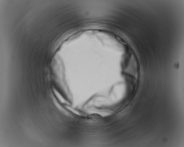 X0000113201433200910081240