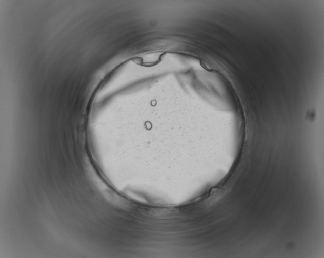 X0000113201434200910081240