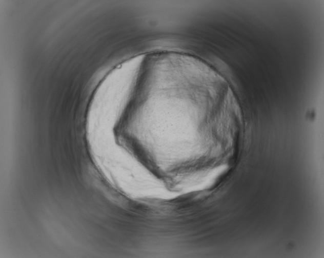 X0000113201435200910081240