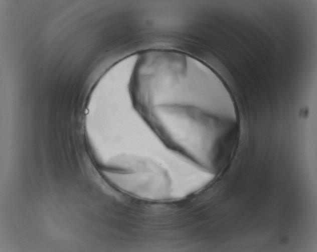 X0000113201436200910081241