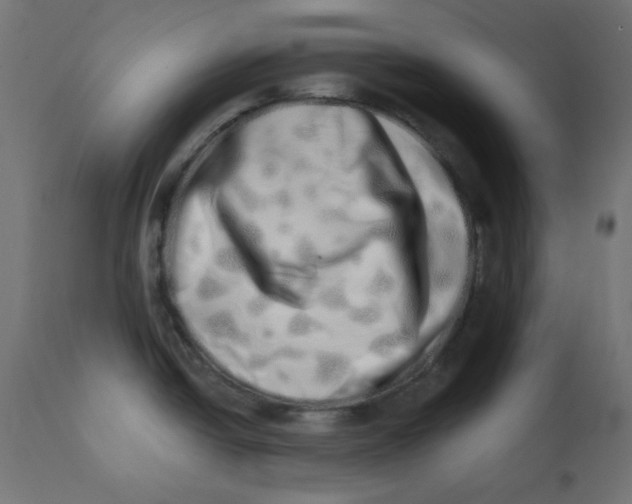 X0000113201438200910081241