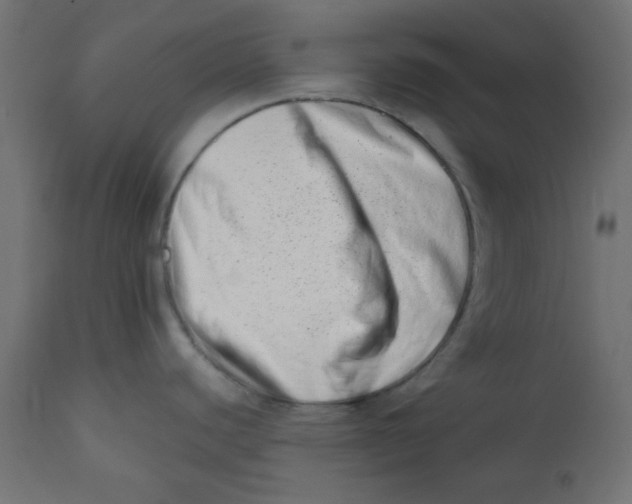 X0000113201440200910081241