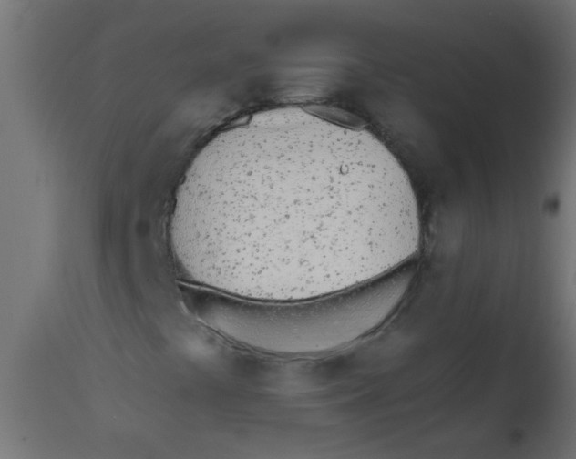 X0000113201441200910081240