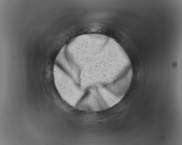 X0000113201442200910081240