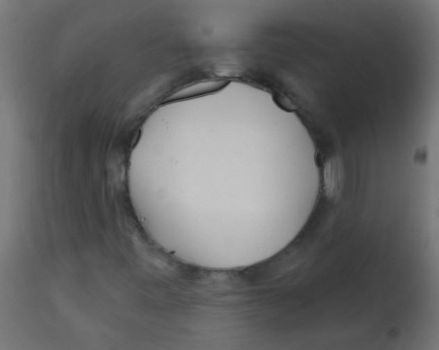 X0000113201443200910081240