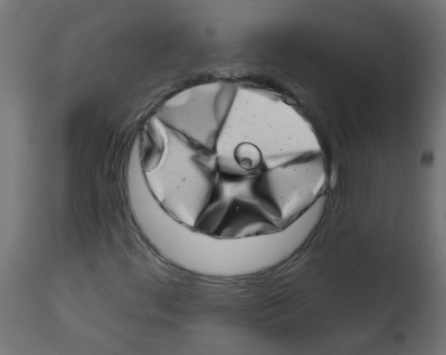 X0000113201444200910081240