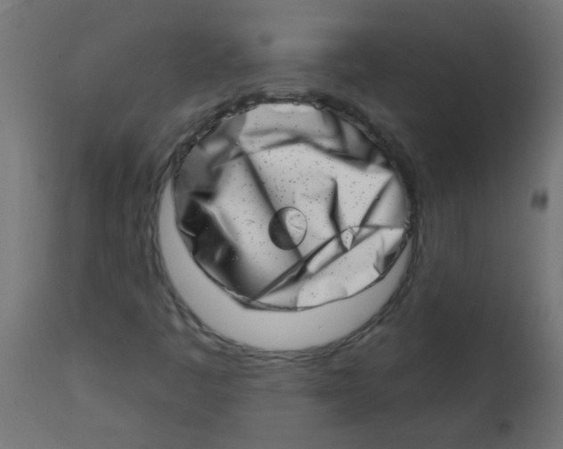 X0000113201445200910081240