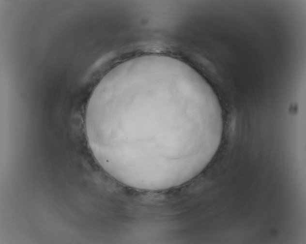 X0000113201446200910081239