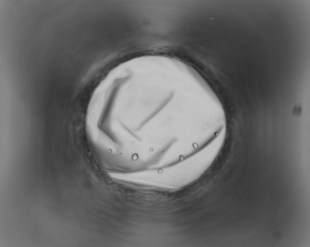 X0000113201447200910081239